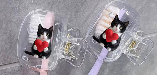 Toothbrush clips
